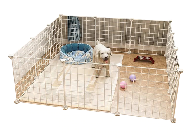 10 Best Dog Cages in the Philippines 2026 | Buying Guide Reviewed by Veterinarian 2