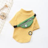 10 Best Dog Clothes in the Philippines 2026 | Buying Guide Reviewed by Veterinarian 1