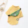 Stripe T-Shirt Pet Clothing 1