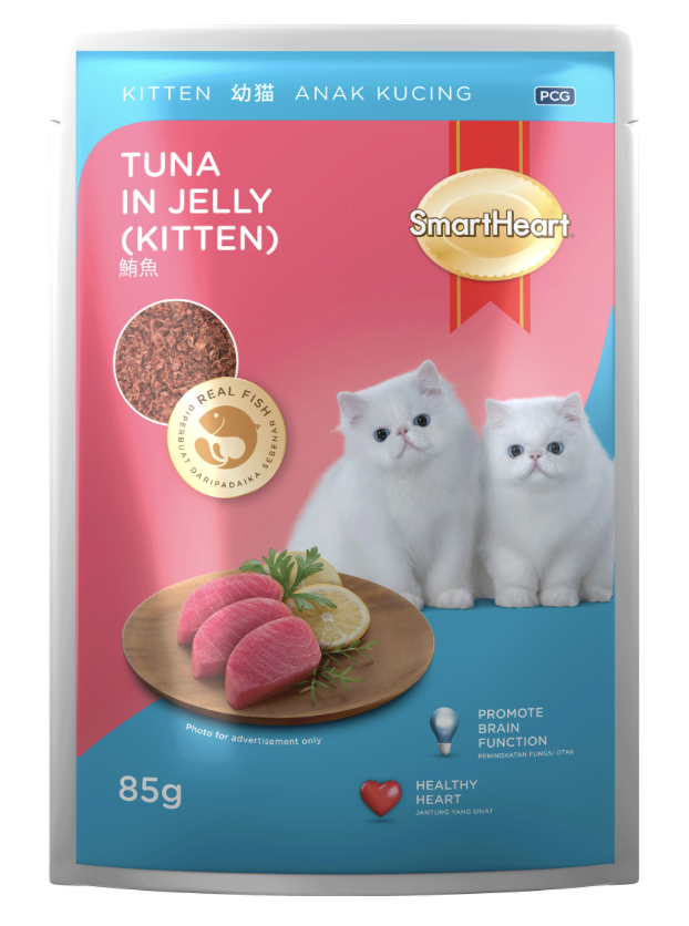 10 Best Wet Food for Kittens in the Philippines 2026 | Buying Guide Reviewed by Veterinarian 5