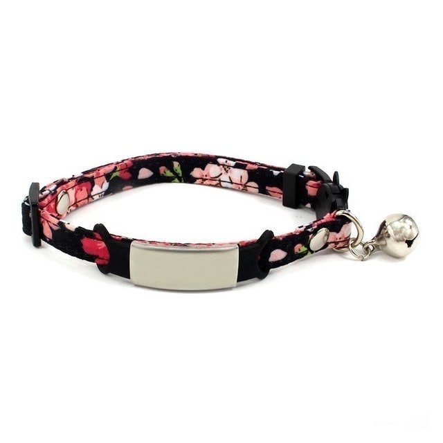 Customized Collar With Safety Buckle 2