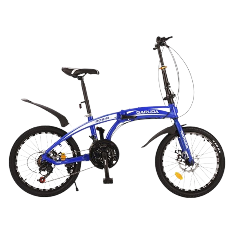 Robin High-Quality Folding Bike Alloy Frame 1