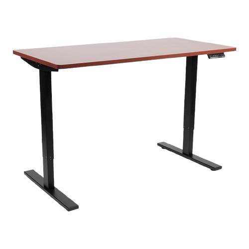 Electric Ergonomic Height-Adjustable Standing Desk 1