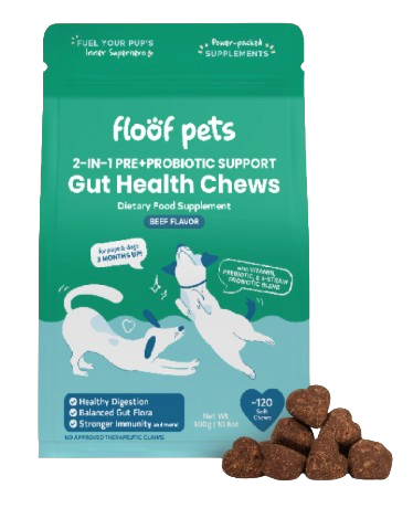 2-In-1 Pre+Probiotic Support Gut Health Chews 1