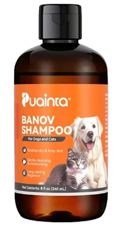 Medicated Shampoo Best Dog Skin Allergy Medicine Mycocide Anti