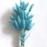 10 Best Dried Flowers in the Philippines 2026 | Buying Guide Reviewed by Interior Designer 4