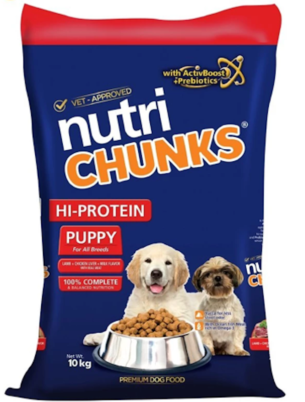Puppy 1