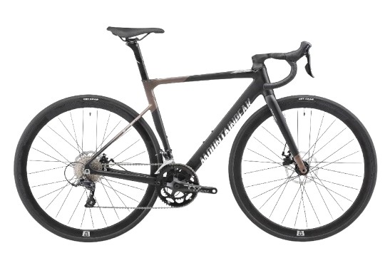 10 Best Budget Road Bikes in the Philippines 2026 | Promax, Mountain Peak and More 4