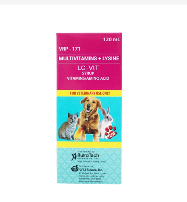 10 Best Dog Vitamins in the Philippines 2025 Buying Guide