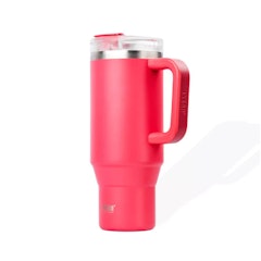 Vacuum Insulated Tumbler with Handle and Straw