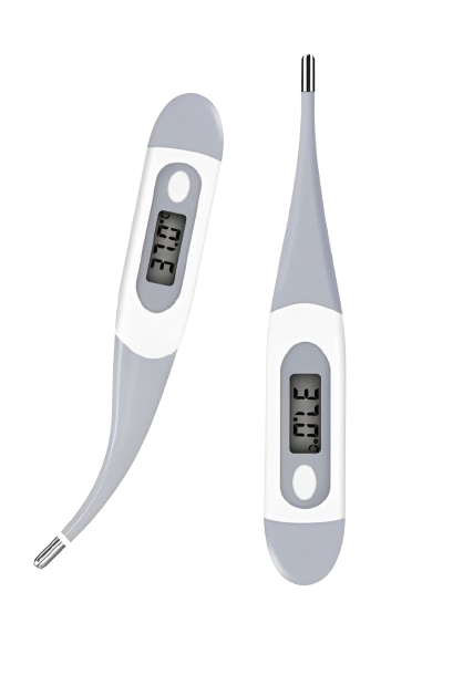 Digital Thermometer 1