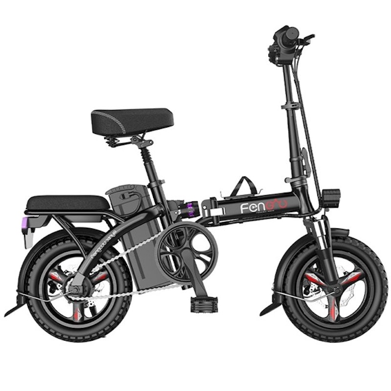 Folding Electric Bicycle 1