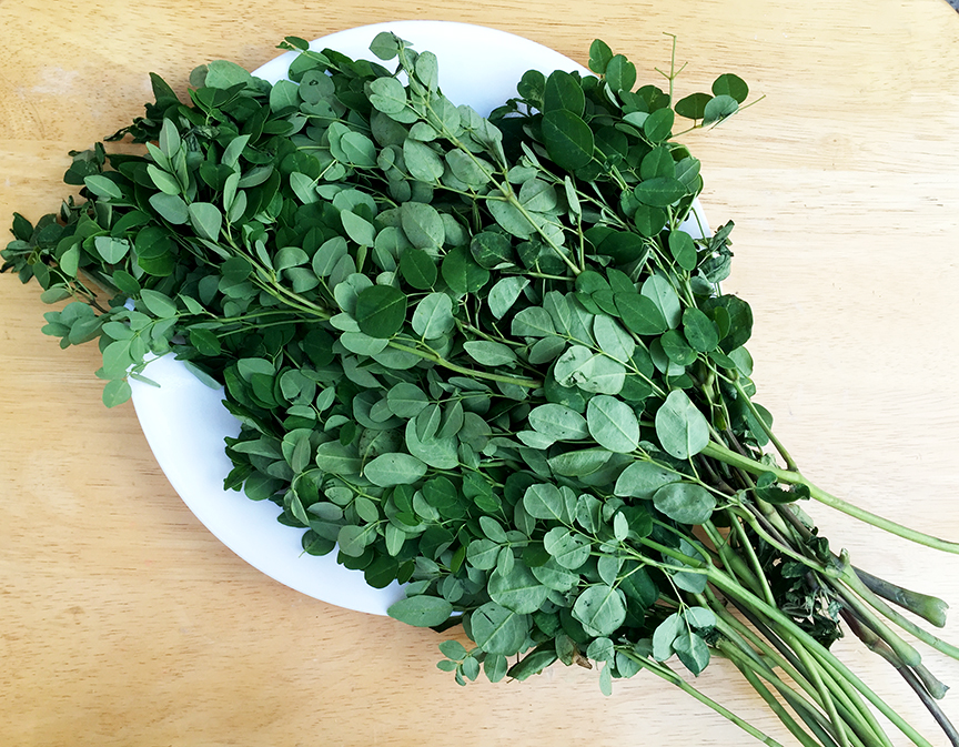 Malunggay / Moringa Seeds 1