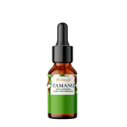 10 Best Tamanu Oils in the Philippines 2026 2