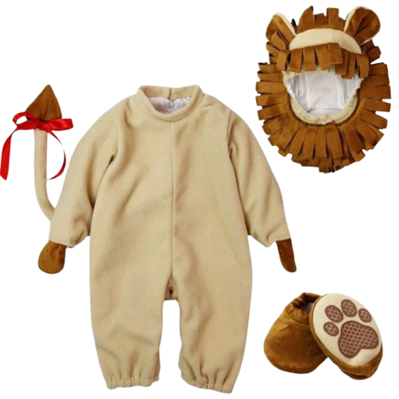 Lion Costume 1