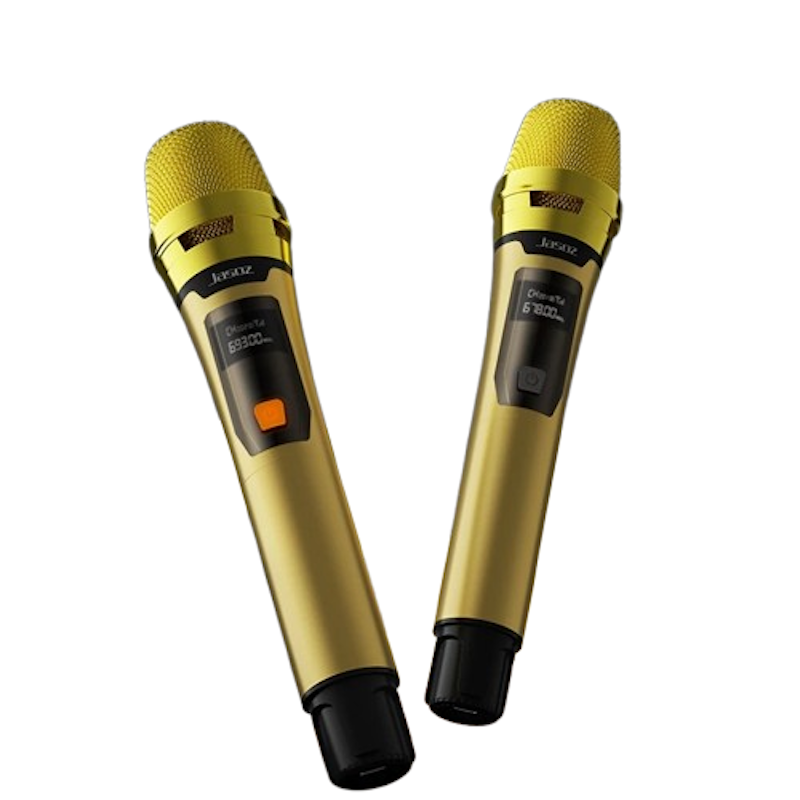 Professional Wireless Microphone 1
