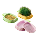 10 Best Cat Grasses in the Philippines 2026 3