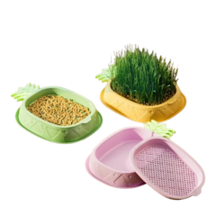 Cat Grass Seeds Box