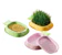Skisopgo Cat Grass Seeds Box 1