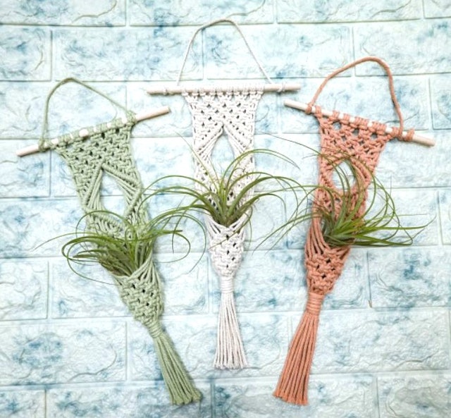 Macramé Wall Hanger & Air Plant Set 1