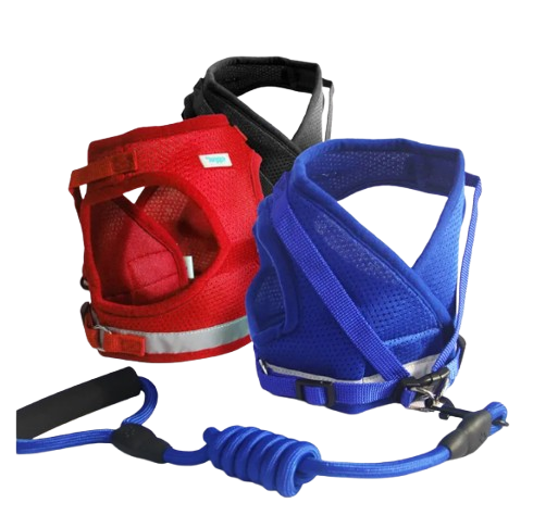 Leash & Bucket Harness 1