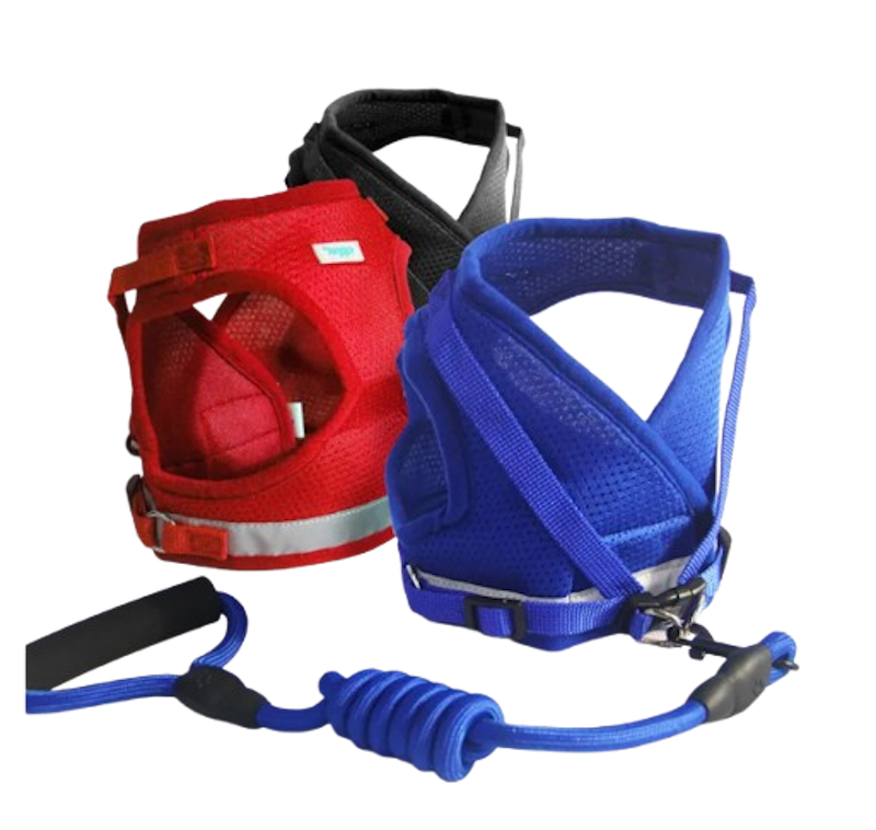 Leash & Bucket Harness 1