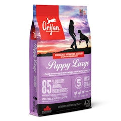 Puppy Large Breed Dry Dog Food
