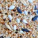 null African Mixed Bird Feeds 1