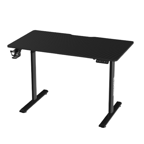 10 Best Electric Standing Desks in the Philippines 2026 | True Vision, Stance, and More 5