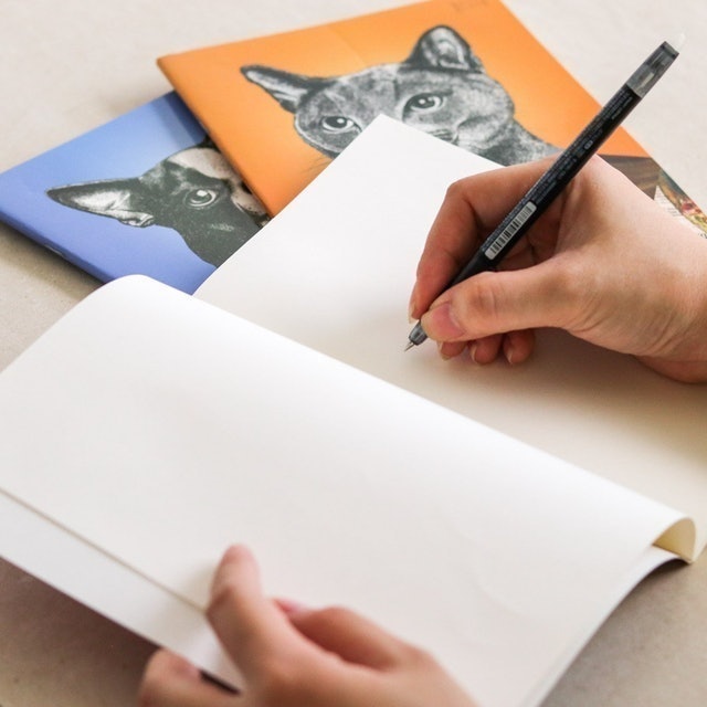 Animal Notebooks 4