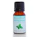 Organic Blendz Peppermint Essential Oil 1