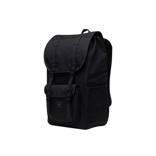 10 Best Backpacks in the Philippines 2026 | Pacsafe, Herschel, JanSport, and More 2