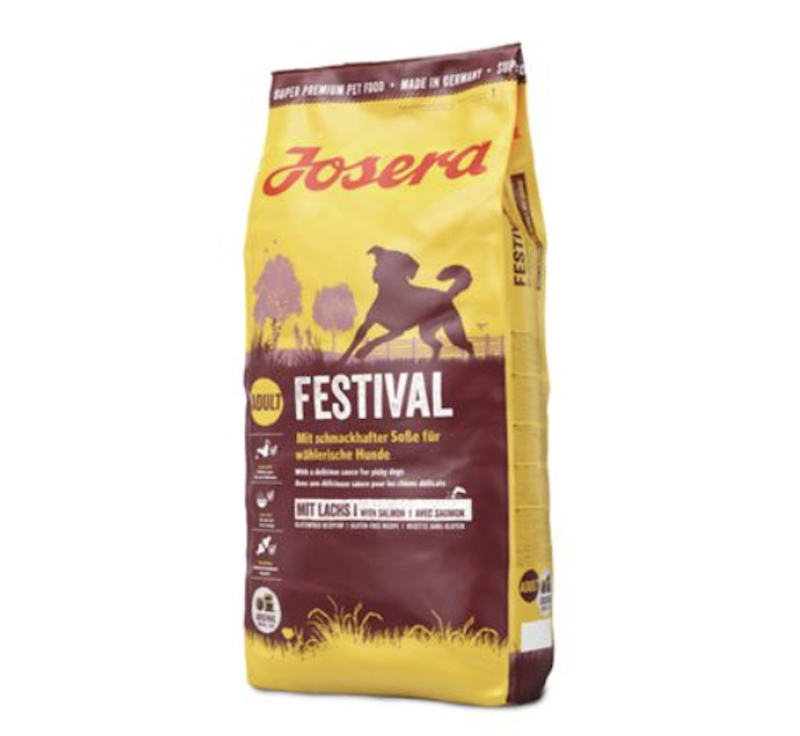 Festival 1
