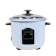 Astron Rice Cooker 1