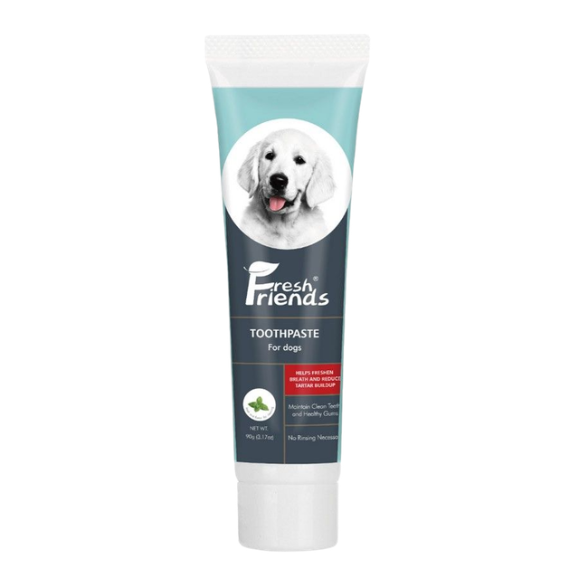 Can Dog Toothpaste Cause Upset Stomach