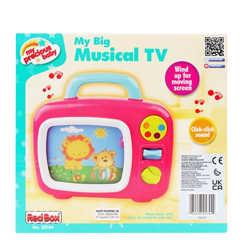 My Big Musical TV 2