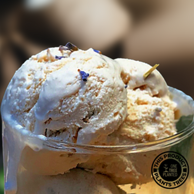 10 Best Vegan Ice Creams in the Philippines 2026 | Buying Guide Reviewed by Nutritionist-Dietitian 5