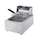 PANSON Commercial Electric Fryer 1