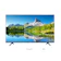 Avision 50" 4K Smart TV 1