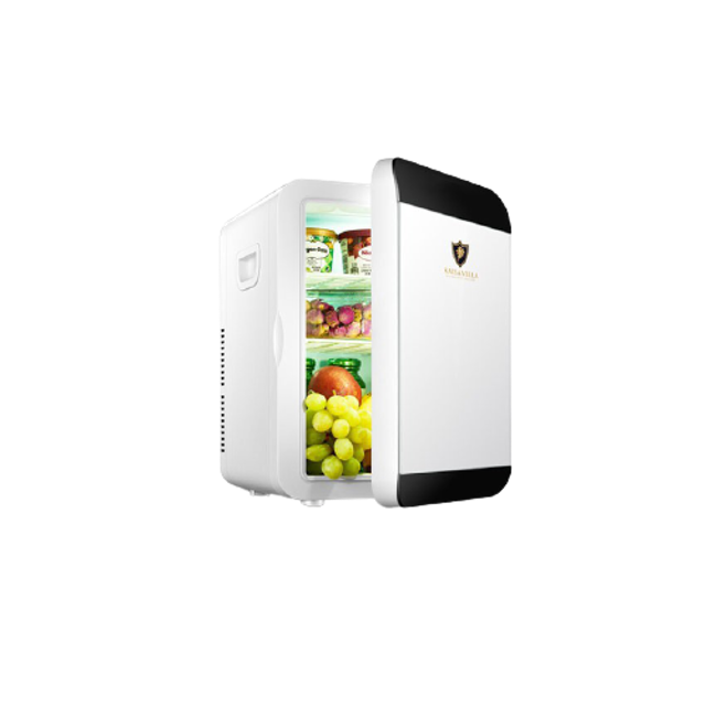 Mini Refrigerator 1
