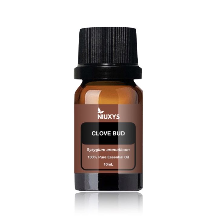 10 Best Clove Oils in the Philippines 2026 4
