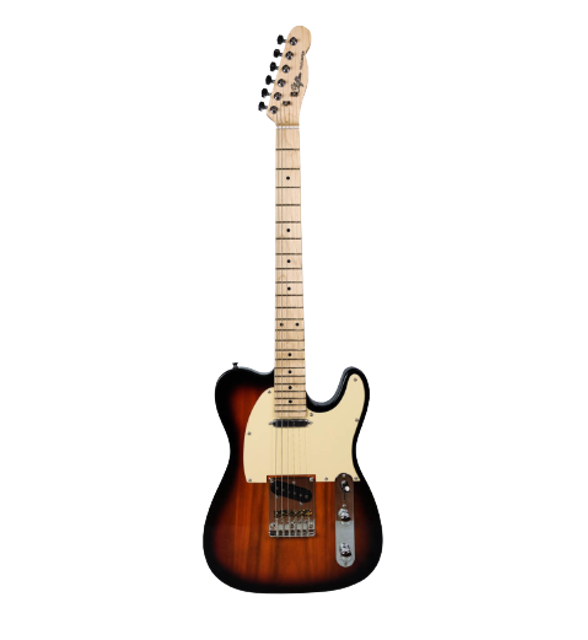 10 Best Beginner Electric Guitars in the Philippines 2026 | Rixton, Fender, and More 5