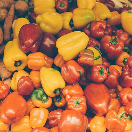 Bell Pepper Seeds 3