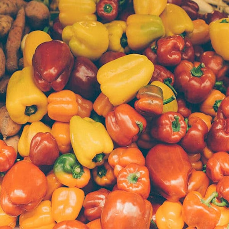 Bell Pepper Seeds 3