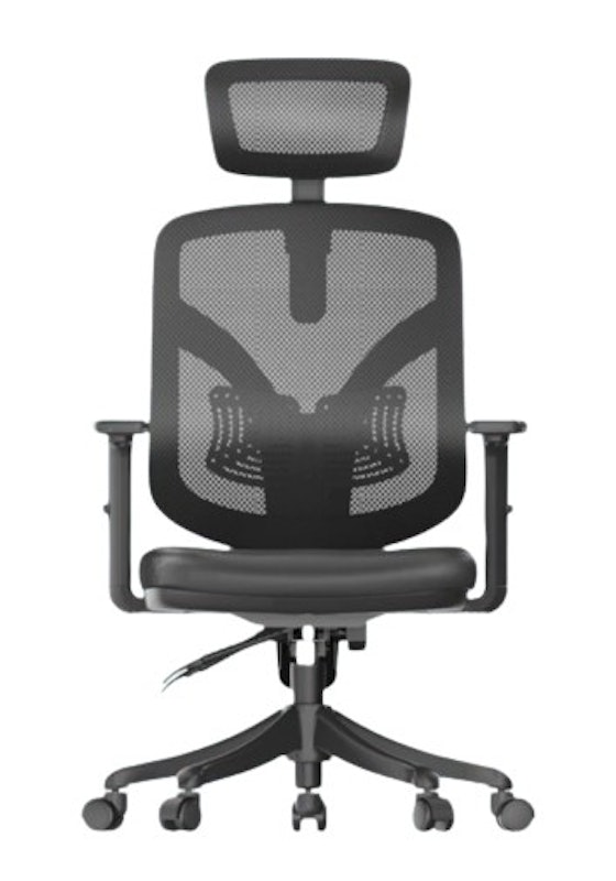 Ergonomic Chair 1