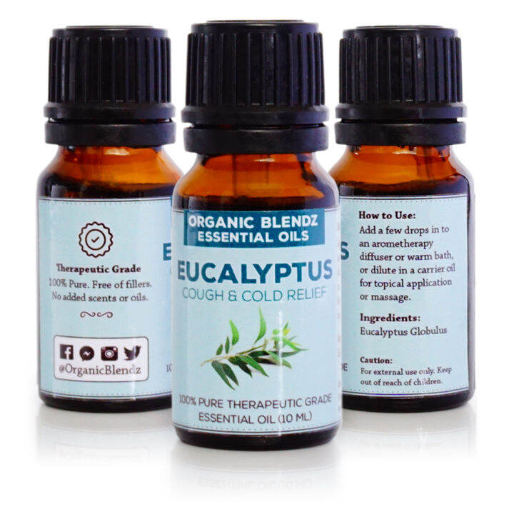 10 Best Eucalyptus Oils in the Philippines 2026 | ABCD Organics, Human Nature, and More 1