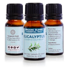 Eucalyptus Globulus Essential Oil