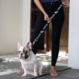 10 Best Dog Leashes in the Philippines 2026 | Buying Guide Reviewed by Veterinarian 3