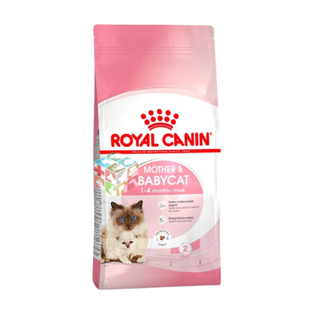 10 Best Kitten Food in the Philippines 2026 | Buying Guide Reviewed by Veterinarian 2