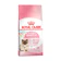 Royal Canin Mother & Babycat Dry Cat Food 1